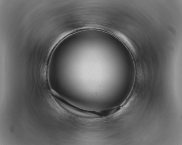 X0000113371292200910061053