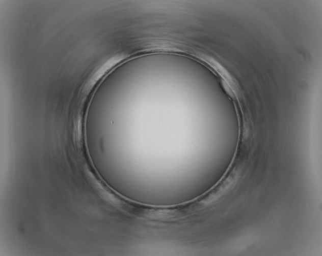 X0000113371293200910061053