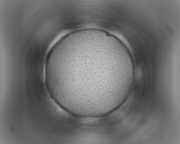 X0000113371294200910061053