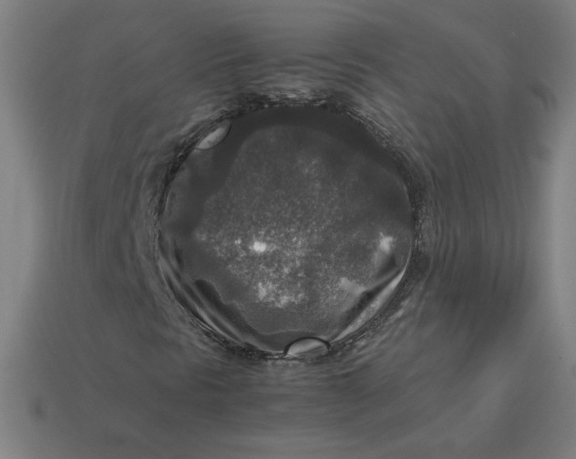 X0000113371297200910061052