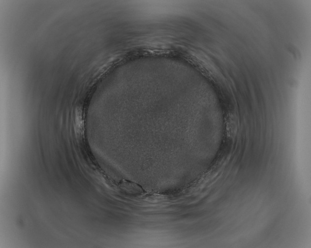 X0000113371298200910061052