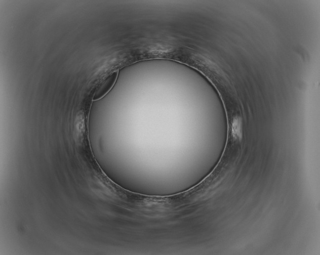 X0000113371299200910061052