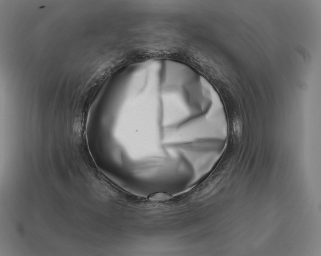 X0000113371300200910061052