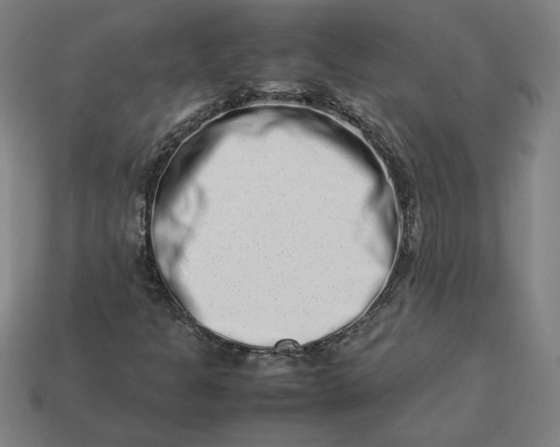 X0000113371301200910061052