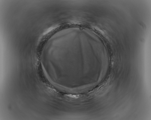 X0000113371303200910061052