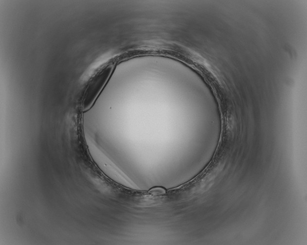 X0000113371304200910061052