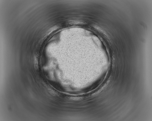 X0000113371305200910061052