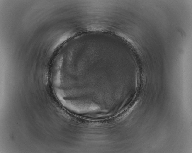 X0000113371306200910061052