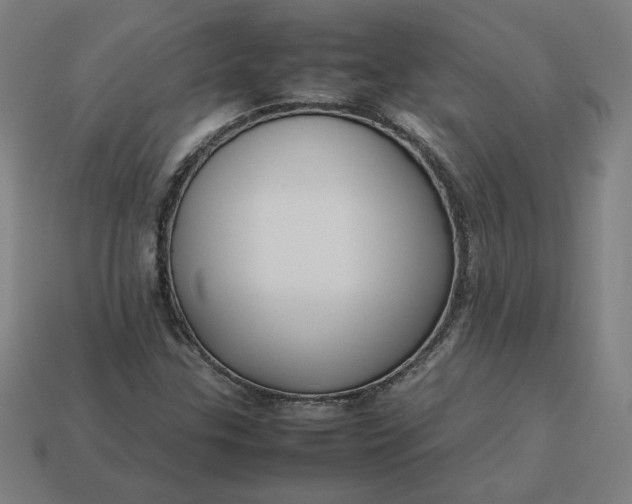 X0000113371307200910061052