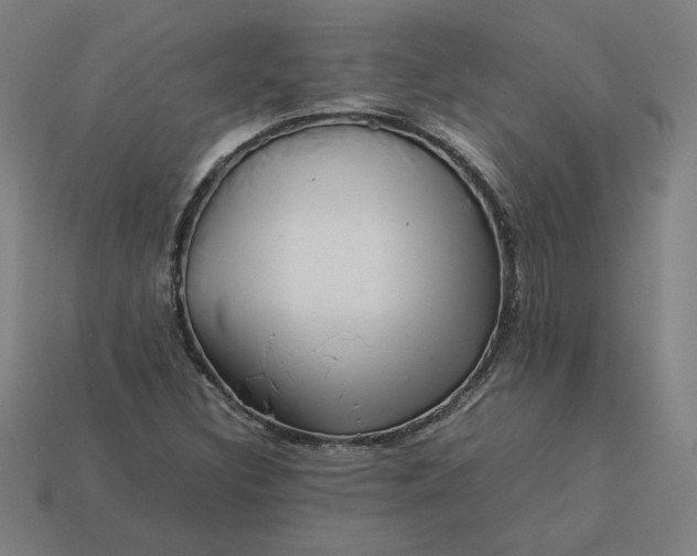 X0000113371308200910061052