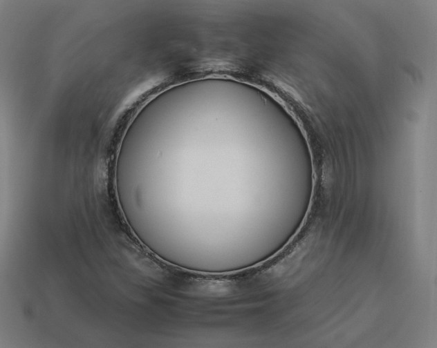 X0000113371309200910061052