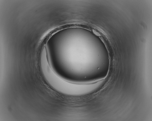 X0000113371310200910061052