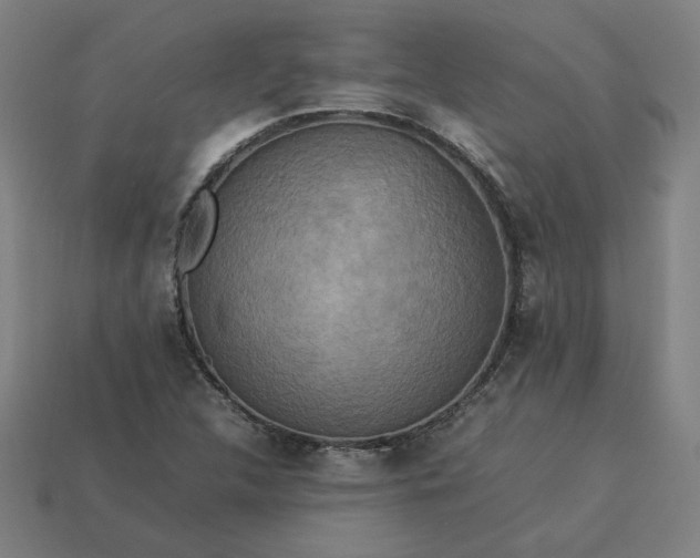 X0000113371312200910061052