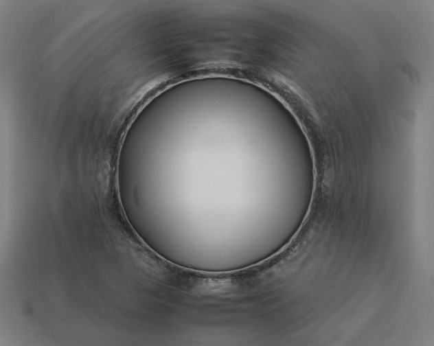 X0000113371313200910061052