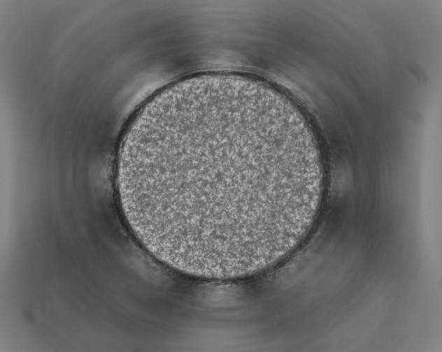 X0000113371314200910061052