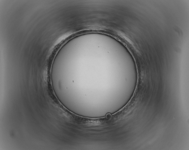 X0000113371315200910061052