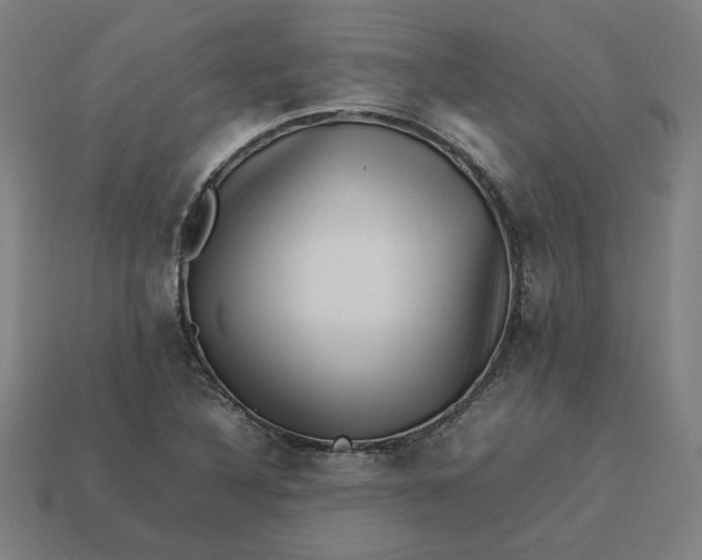 X0000113371316200910061052