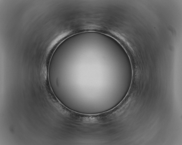 X0000113371317200910061052