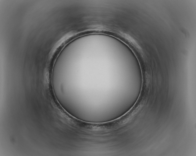 X0000113371318200910061052