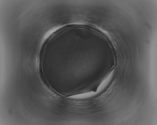 X0000113371319200910061052