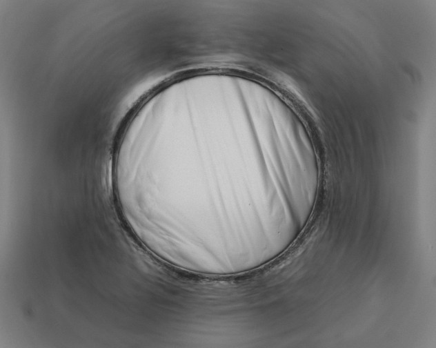 X0000113371320200910061052