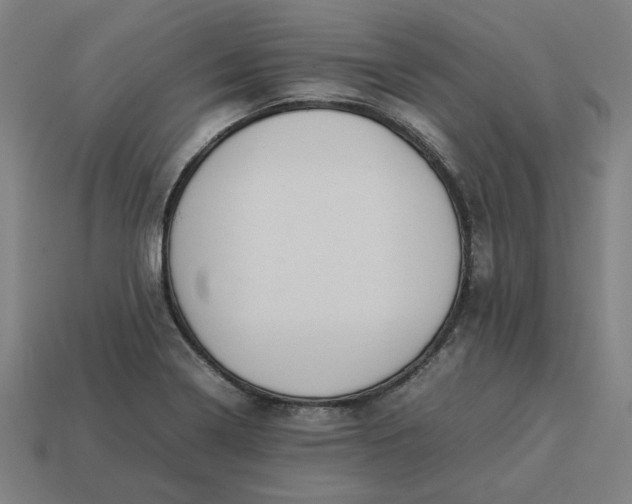 X0000113371322200910061052