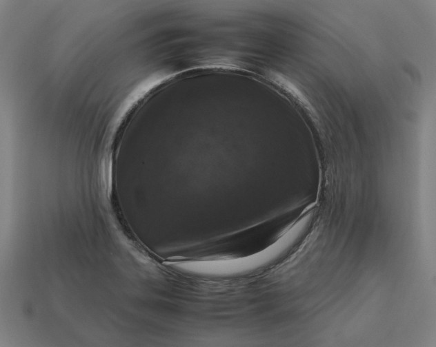 X0000113371323200910061052