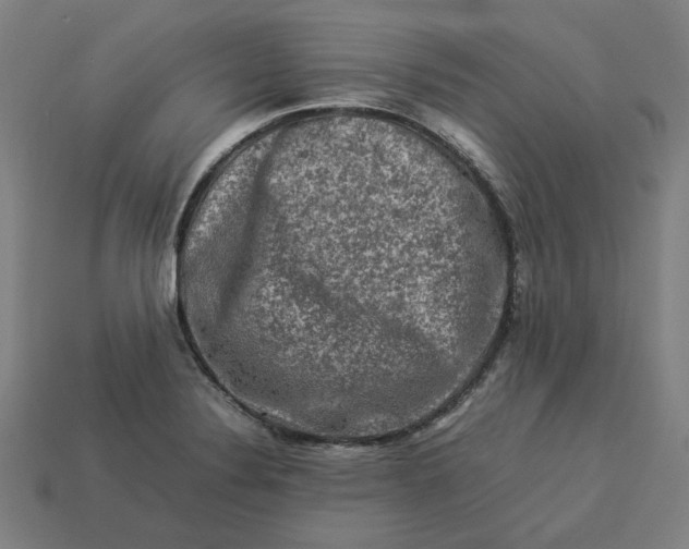 X0000113371324200910061052