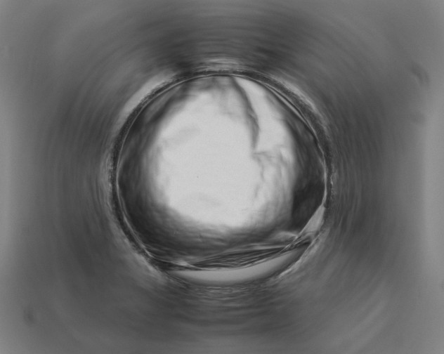 X0000113371325200910061052