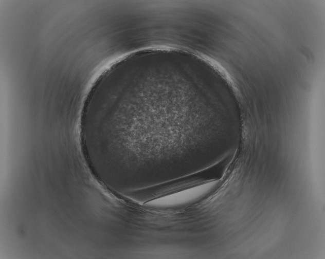 X0000113371327200910061052