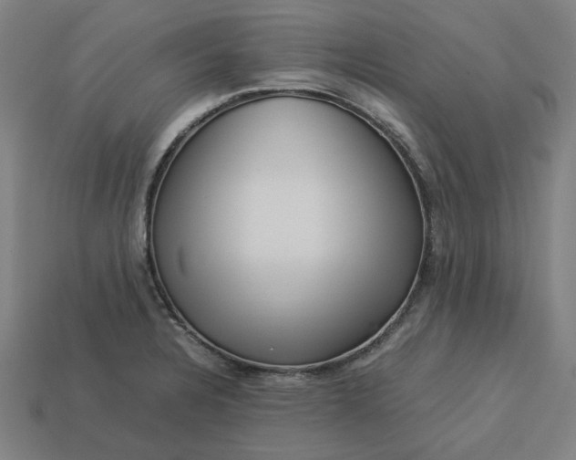 X0000113371328200910061052