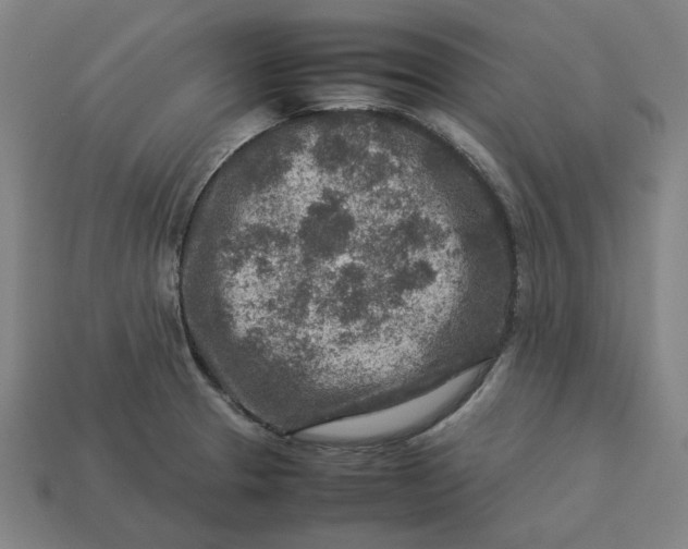 X0000113371329200910061052