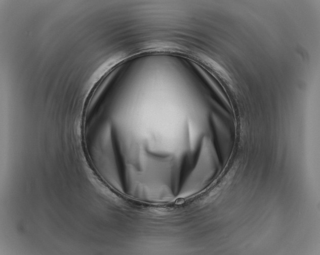 X0000113371330200910061052