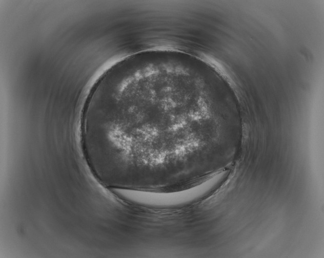 X0000113371331200910061052