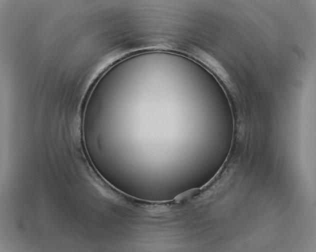 X0000113371332200910061052