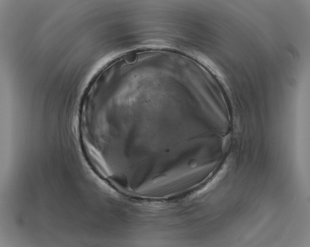 X0000113371334200910061052