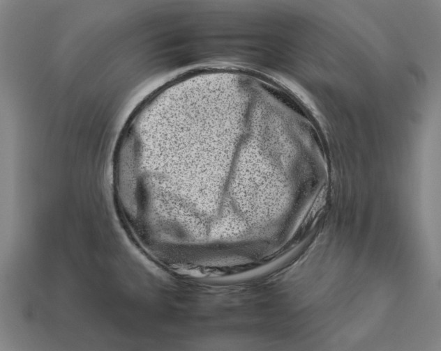 X0000113371335200910061052