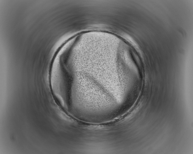 X0000113371336200910061052