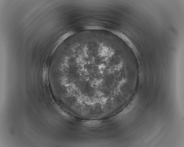 X0000113371337200910061052