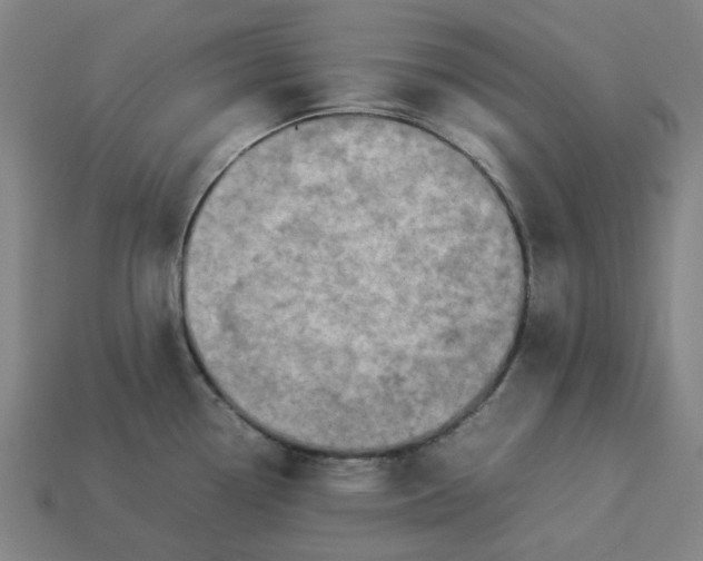 X0000113371338200910061052