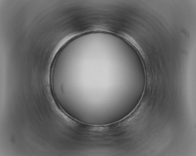 X0000113371339200910061052