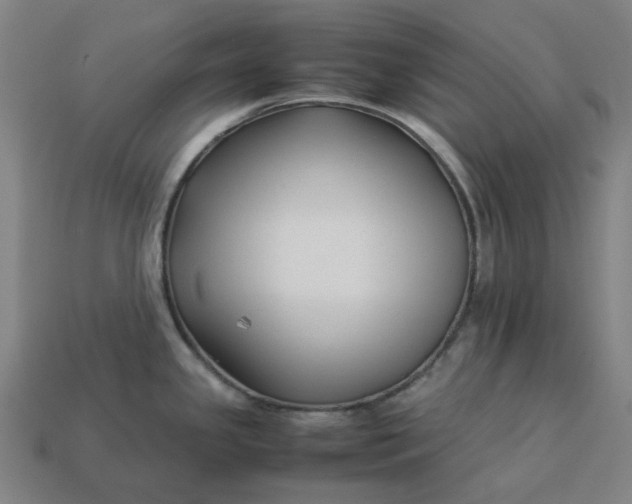 X0000113371341200910061052