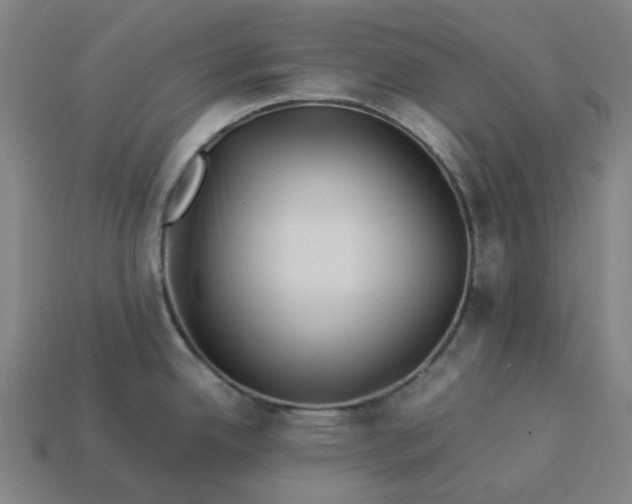 X0000113371342200910061052