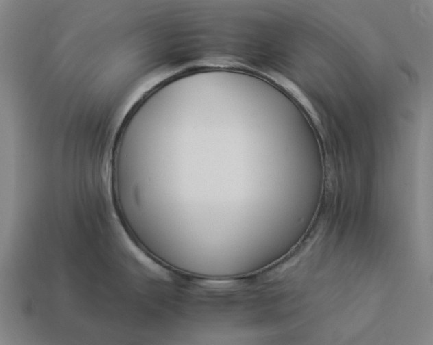 X0000113371343200910061053