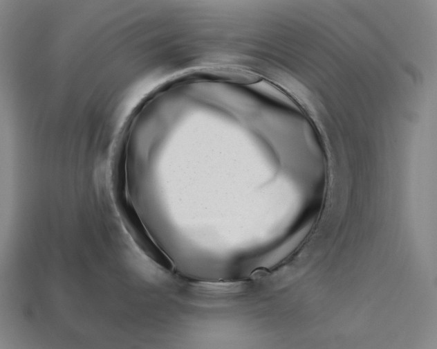 X0000113371344200910061053