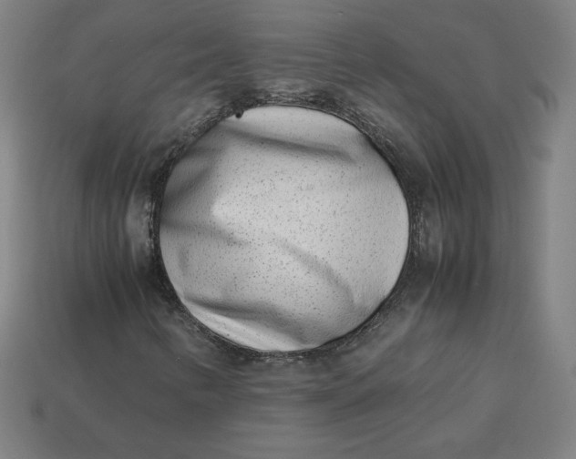 X0000113371346200910061052