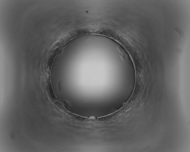 X0000113371349200910061052