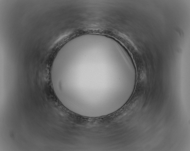 X0000113371350200910061052