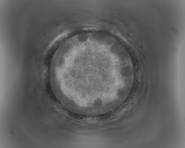 X0000113371351200910061052