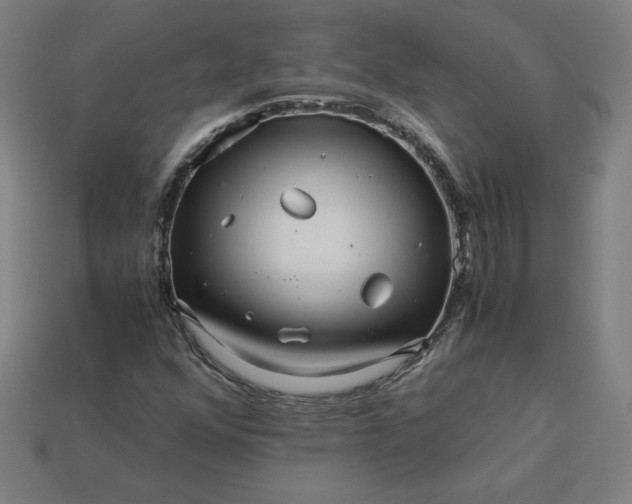 X0000113371352200910061052